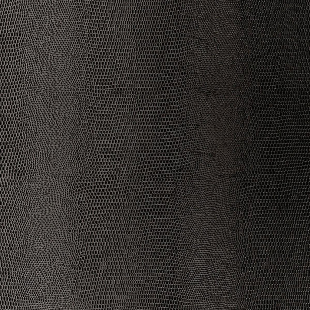 Lizard Carbon