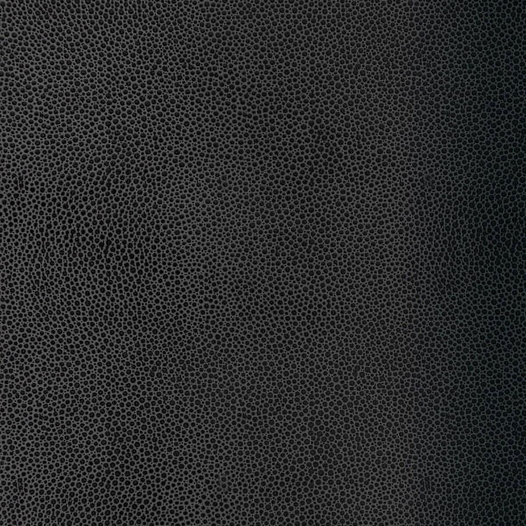 Shagreen Carbon