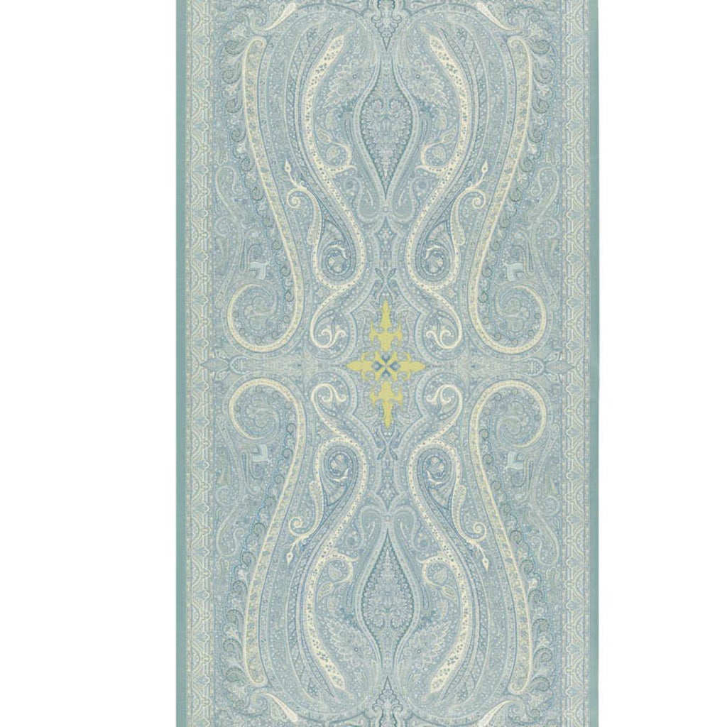 Pasha Paisley Sky
