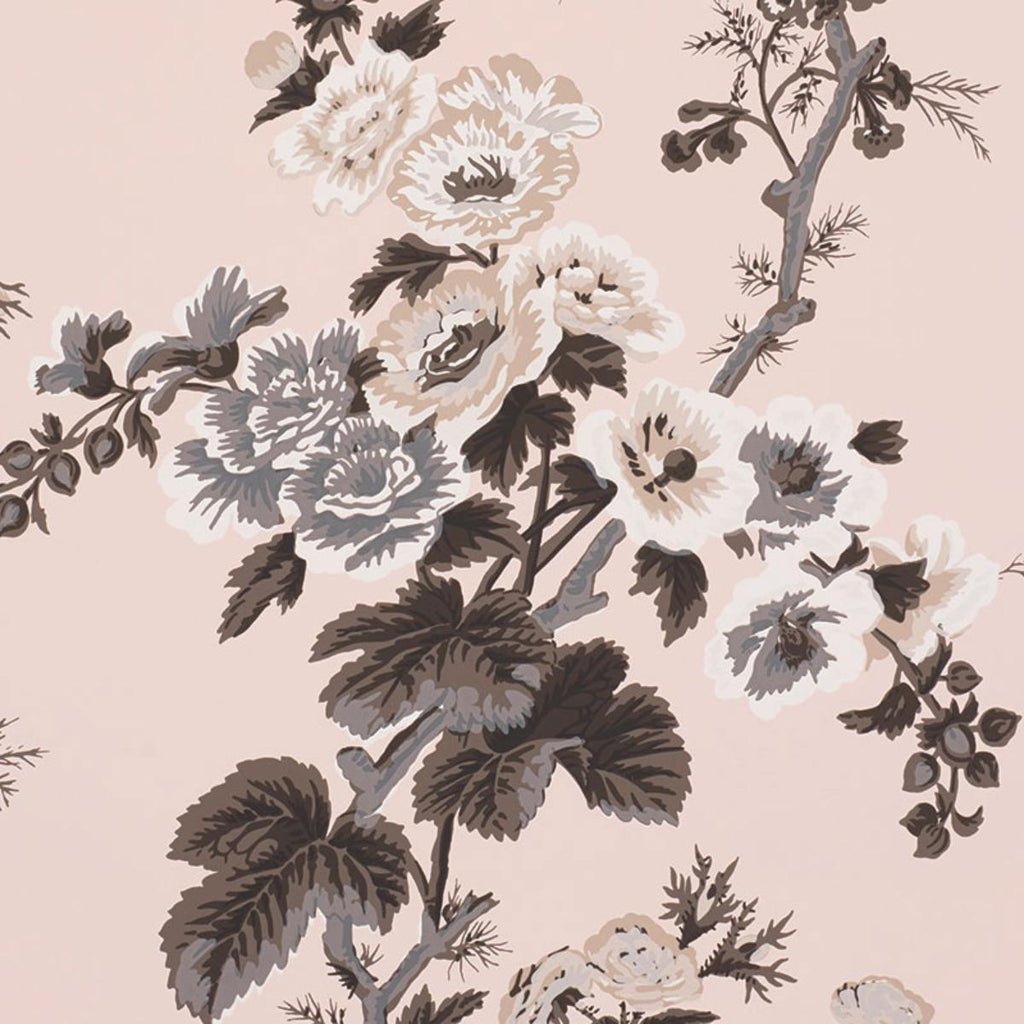 Pyne Hollyhock Blush
