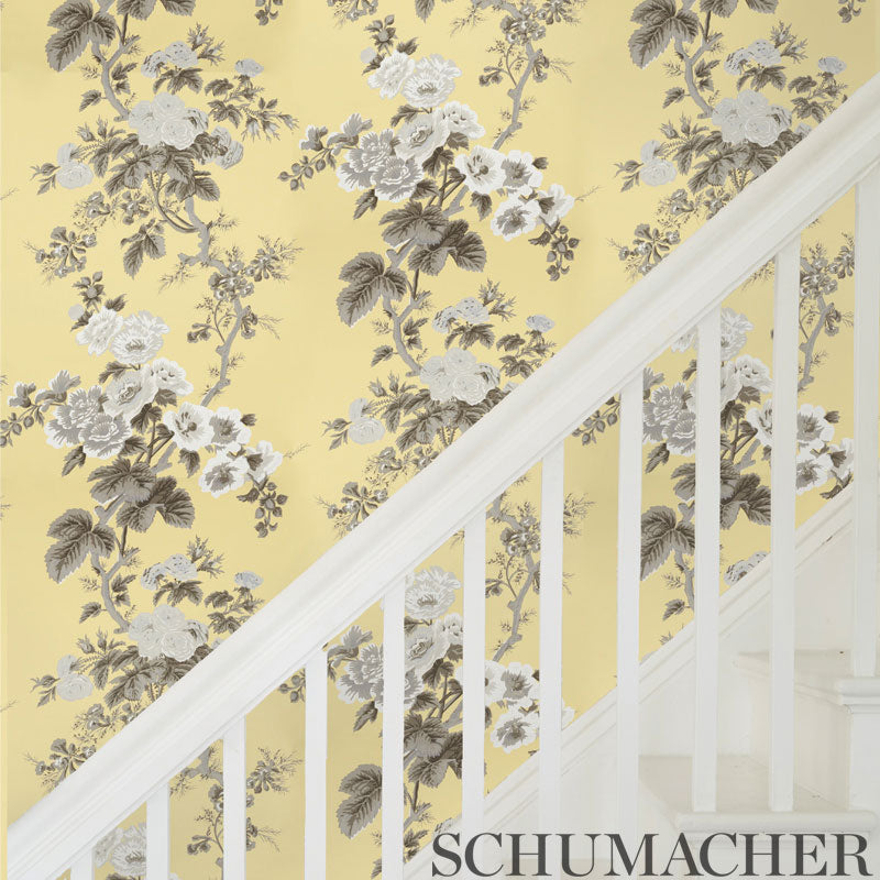 Pyne Hollyhock Buttercup Room Setting | Schumacher Wallpaper