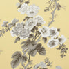 Pyne Hollyhock Buttercup