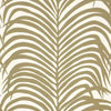 Zebra Palm - Khaki Wallpapers