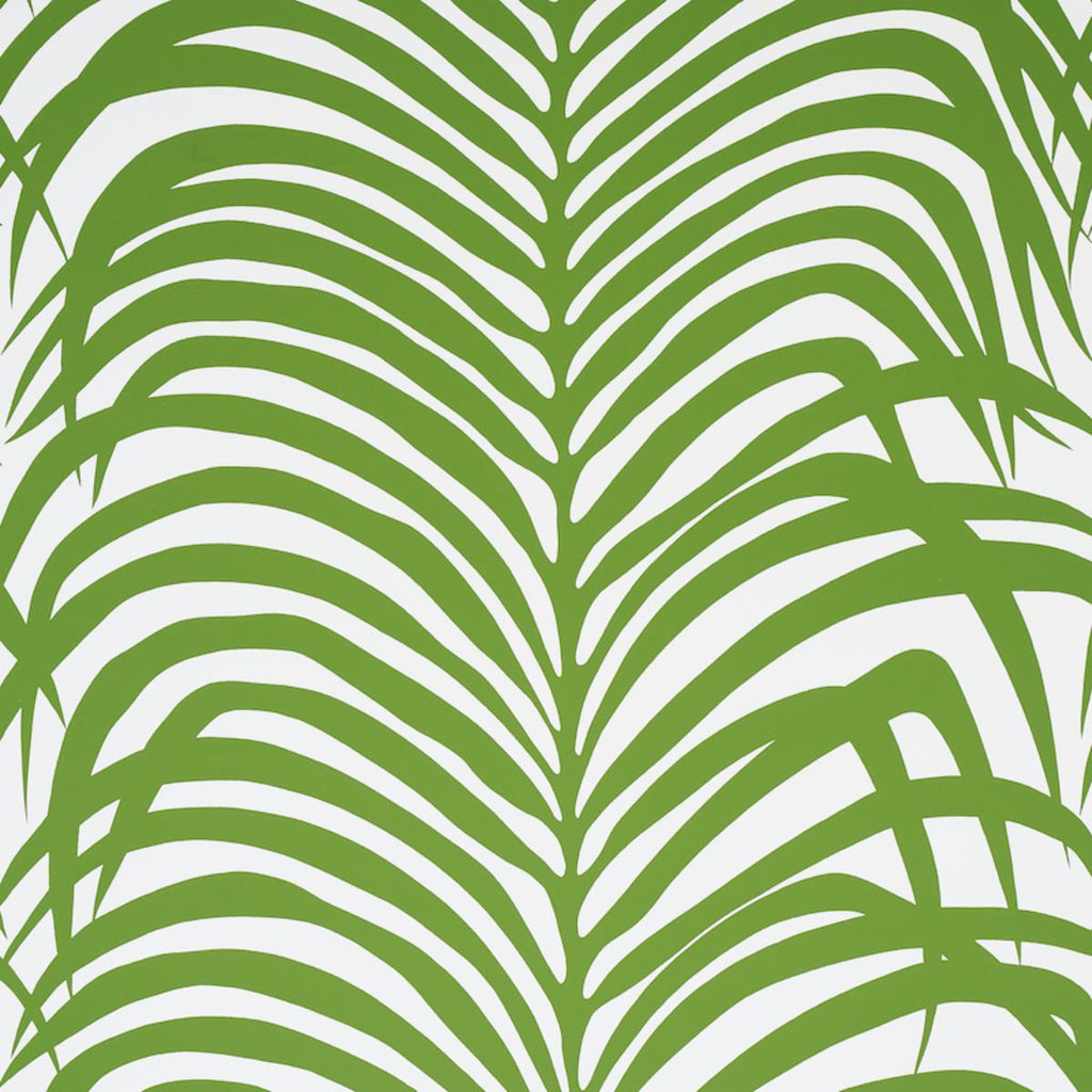 Zebra Palm Jungle