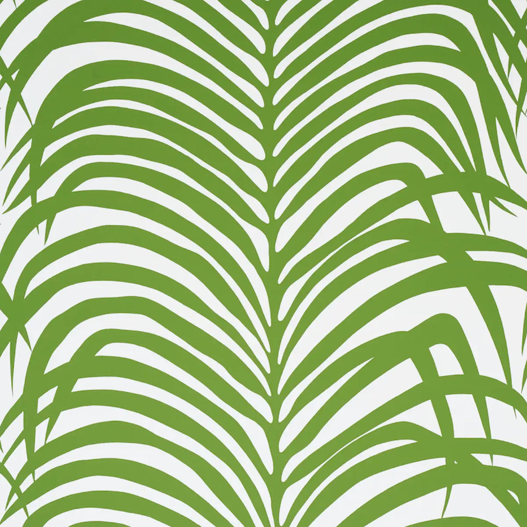 Zebra Palm - Jungle Wallpapers
