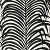 Zebra Palm - Ebony Wallpapers
