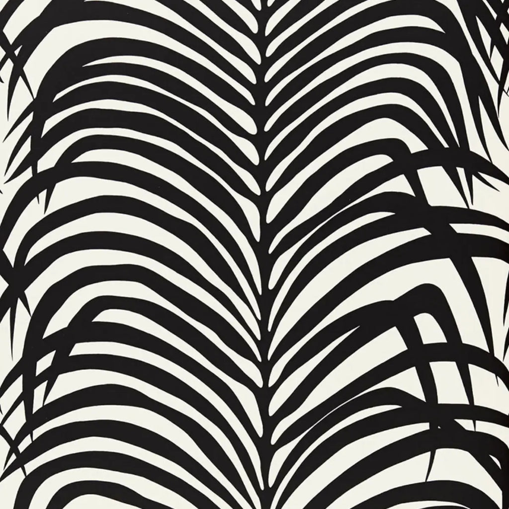 Zebra Palm - Ebony Wallpapers