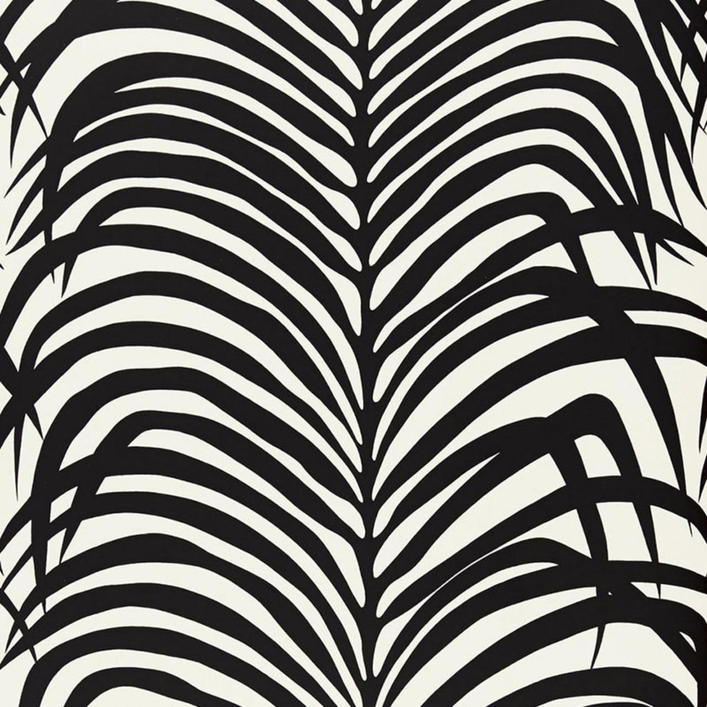 Zebra Palm Ebony