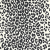 Iconic Leopard - Graphite Wallpapers