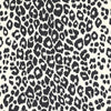 Iconic Leopard Graphite