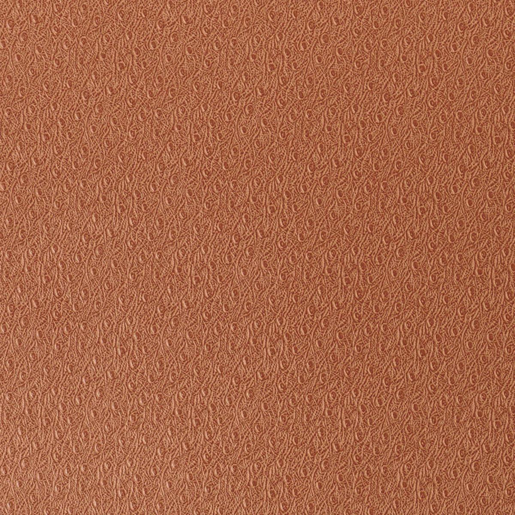 Ostrich Ginger