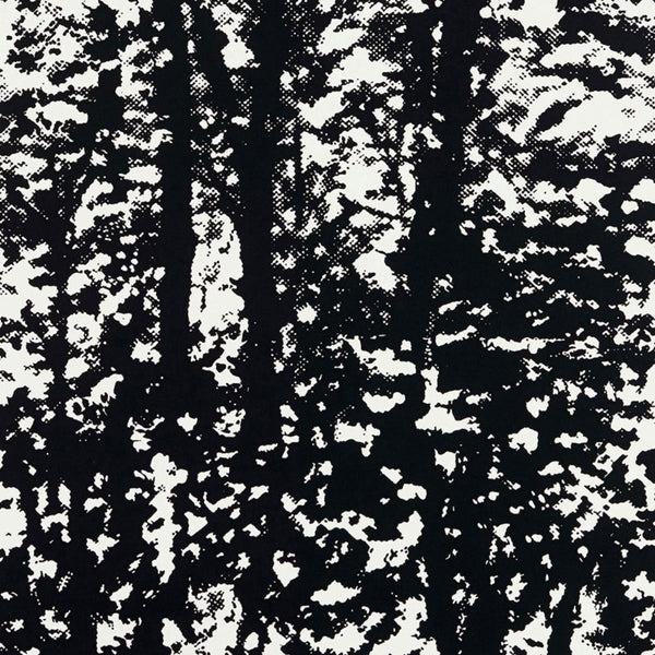 Woodland - Night Wallcovering | Schumacher