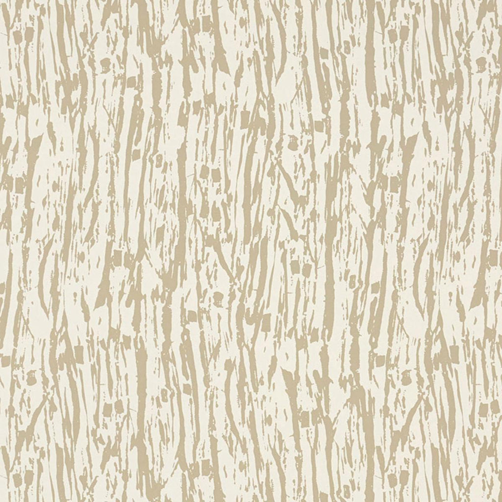 Tree Texture Natural