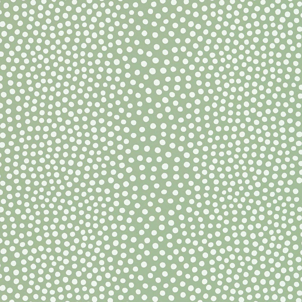 Raindots Spring