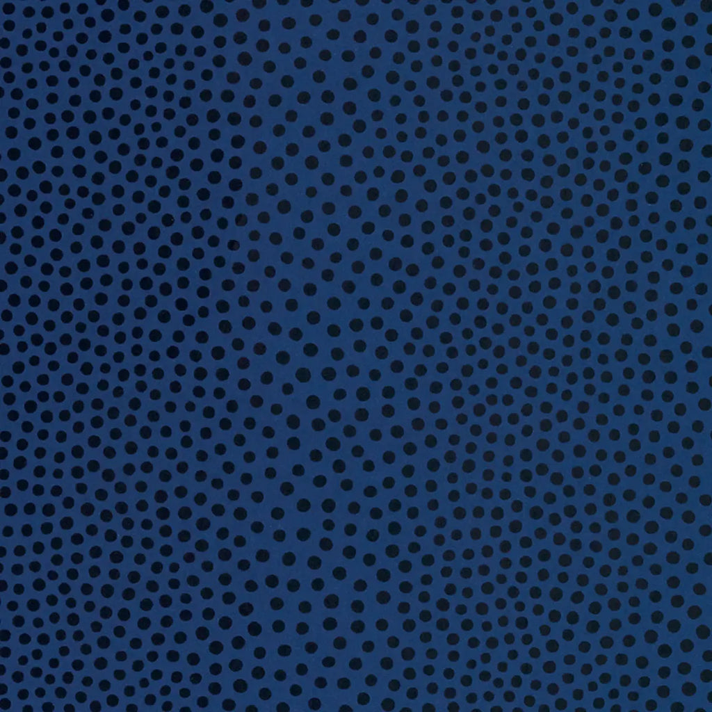 Raindots - Marine Noir Wallpapers