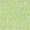 Bamboo Spring