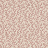 Folly Pink
