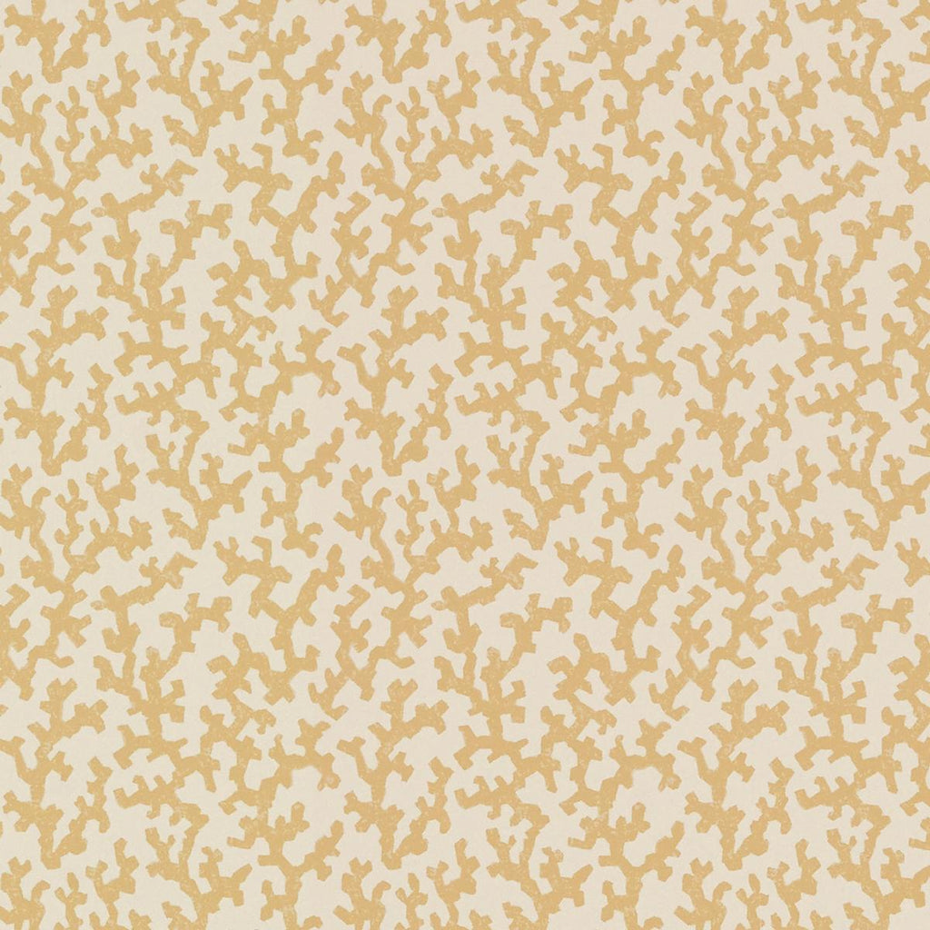 Folly Straw