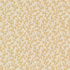 Folly Straw