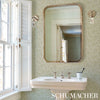 Montpellier - Shutter Wallpapers