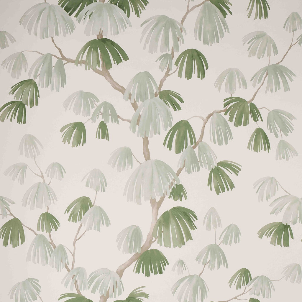 Weeping Pine, Sage