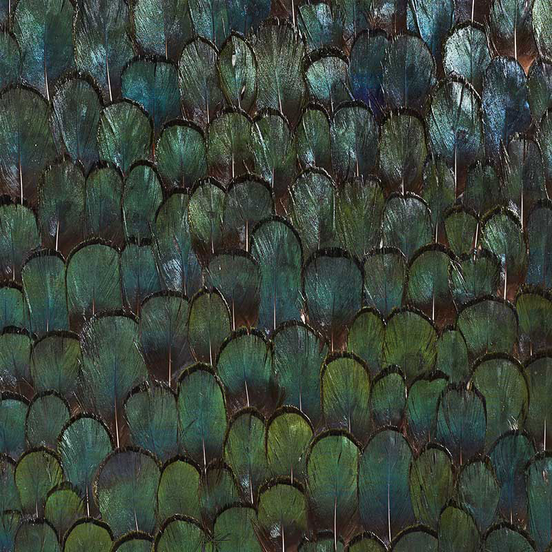 Jade, Forest Green