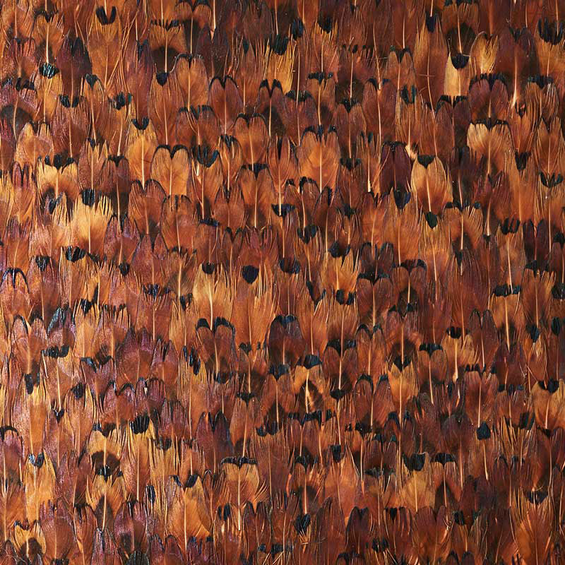 Copper, Chocolate