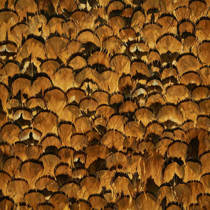 Limonite, Apricot