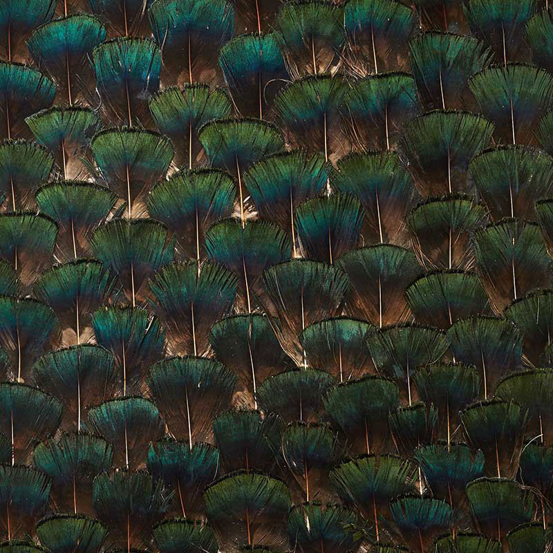 Edenite, Moss Green