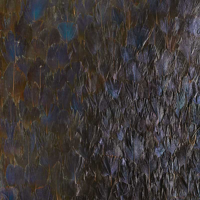 Sapphire, Bronze Violet