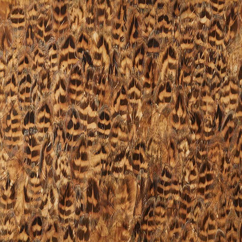 Umber, Daffod