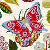 Exotic Butterfly - Multi Wallpapers
