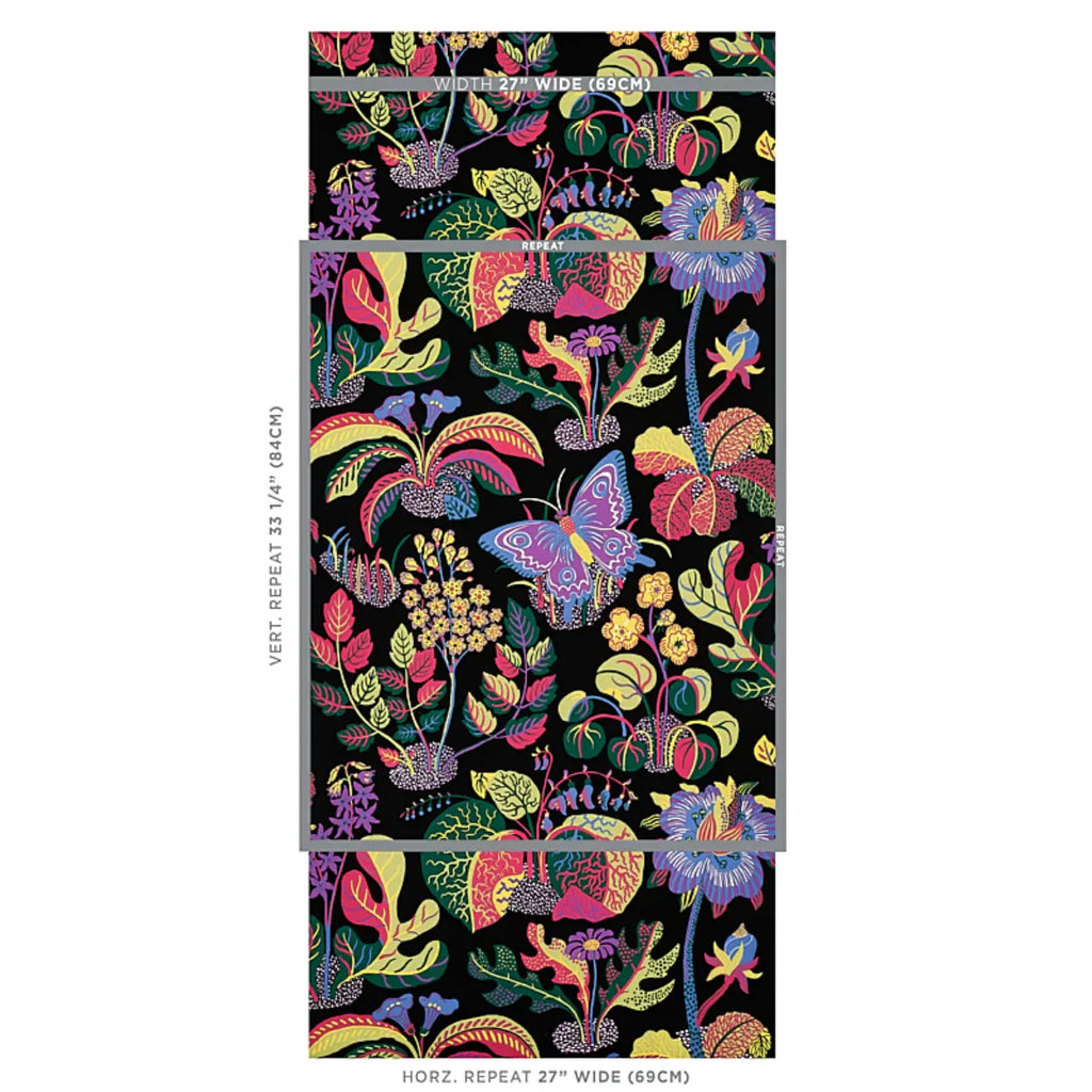 Exotic Butterfly - Black Wallpapers