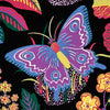 Exotic Butterfly - Black Wallpapers