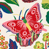 Exotic Butterfly - Spring Wallpapers