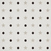 Etoiles Et Points - Warm Silver Wallpapers