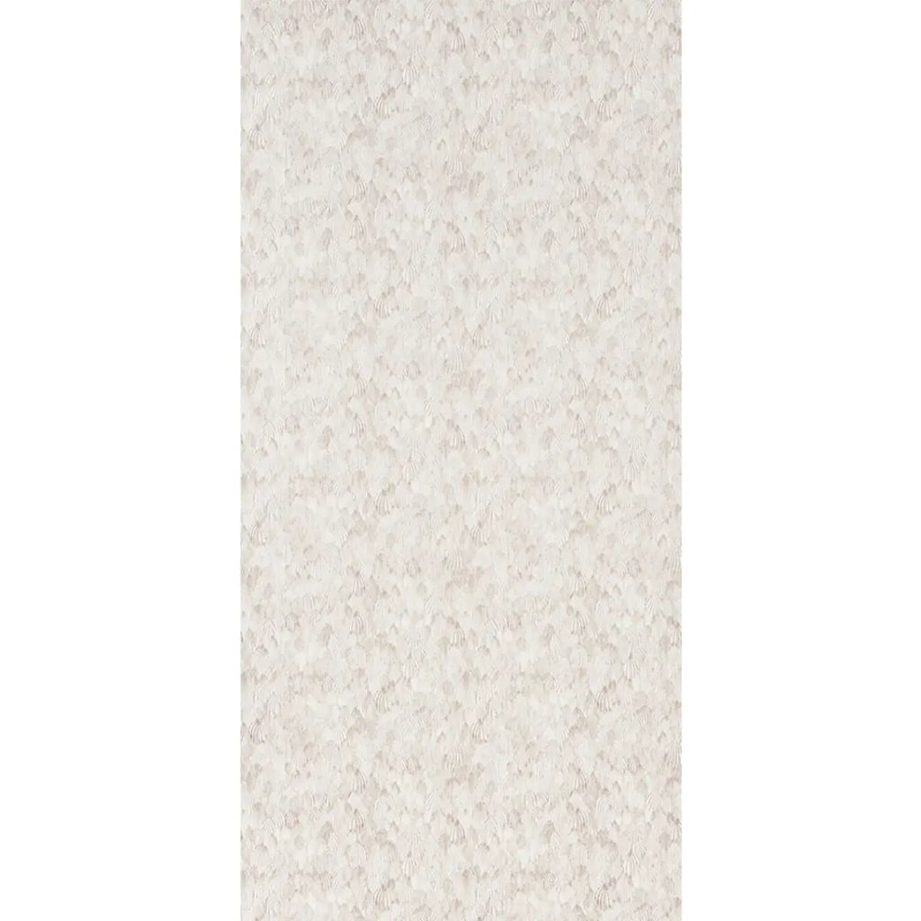 Feathers - Brown Wallpapers