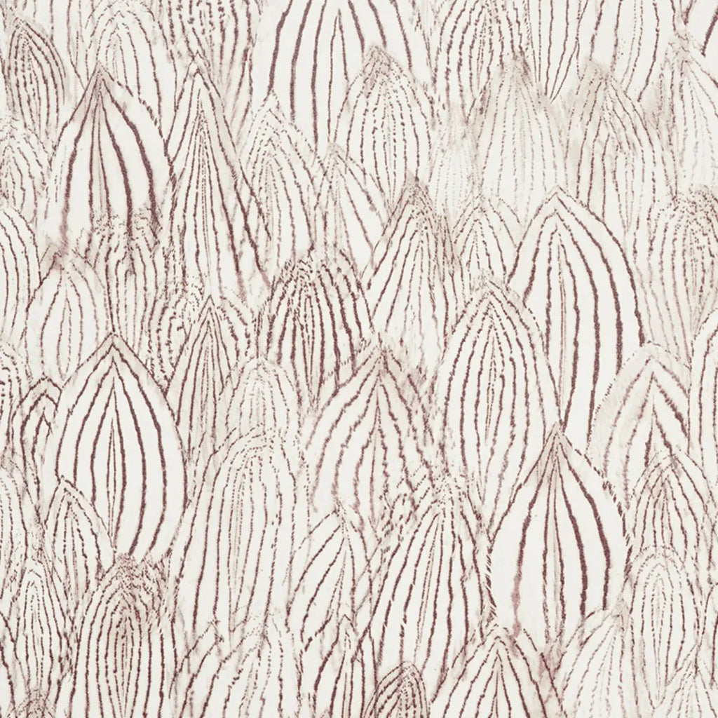 Feathers - Brown Wallpapers