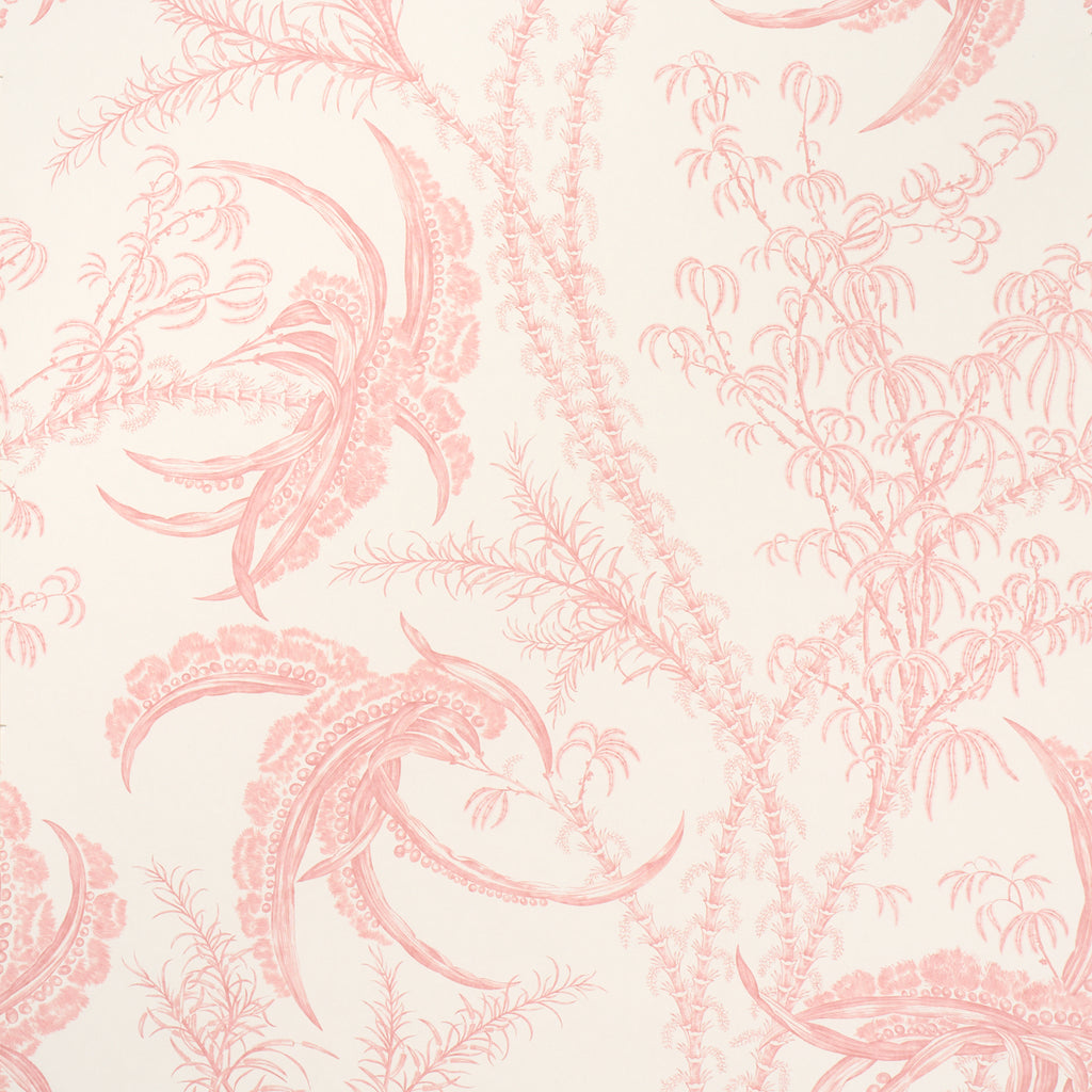 Ocean Toile, Coral
