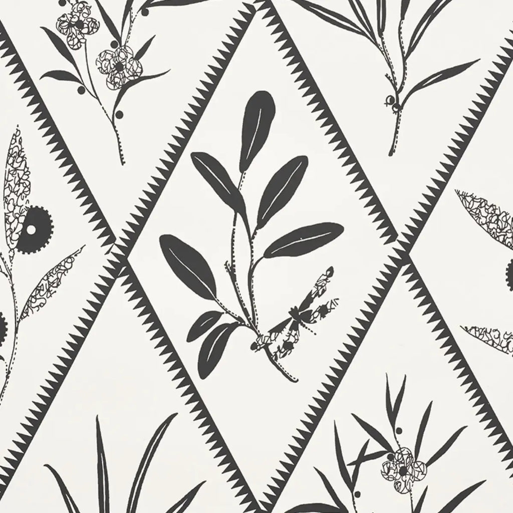 Endimione - Carbon Wallpapers