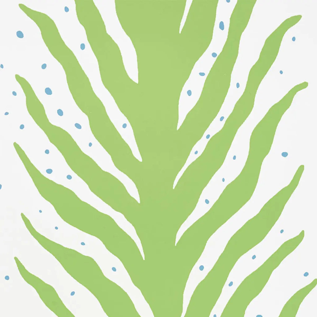 Creeping Fern - Moss Wallpapers