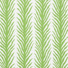 Creeping Fern - Moss Wallpapers