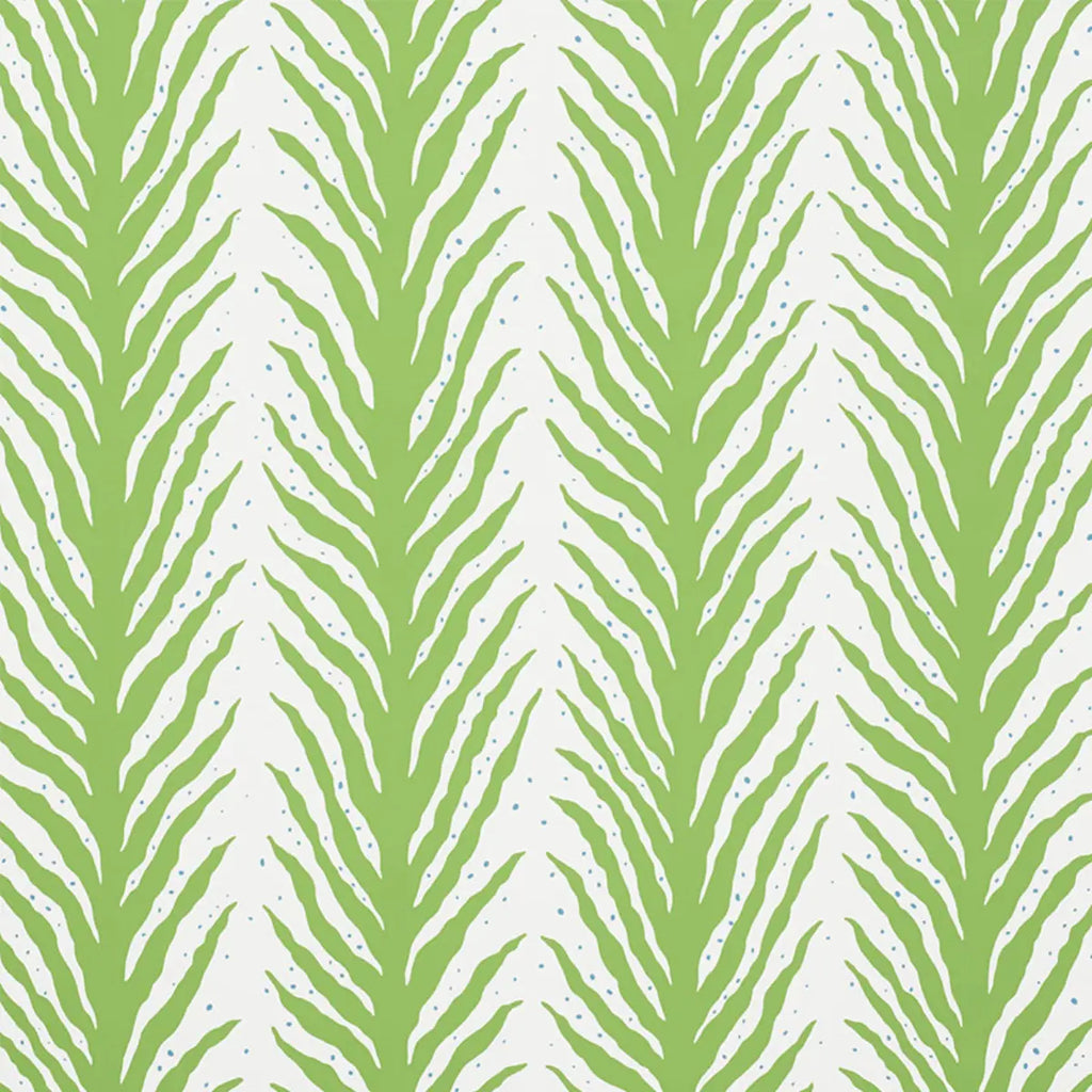 Creeping Fern - Moss Wallpapers