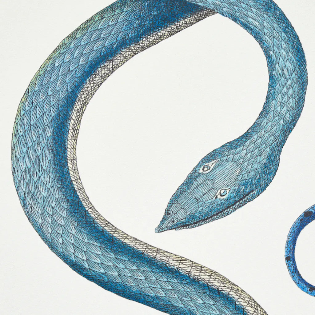 Giove - Emerald &amp; Sapphire Wallpapers