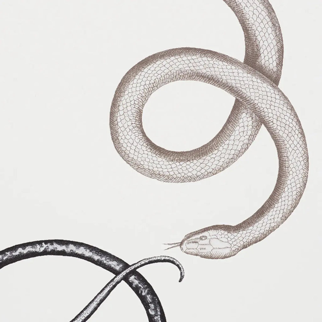 Giove - Agate &amp; Onyx Wallpapers