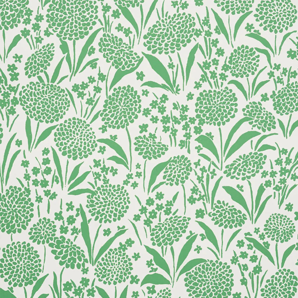 Chrysanthemum - Green Wallpapers