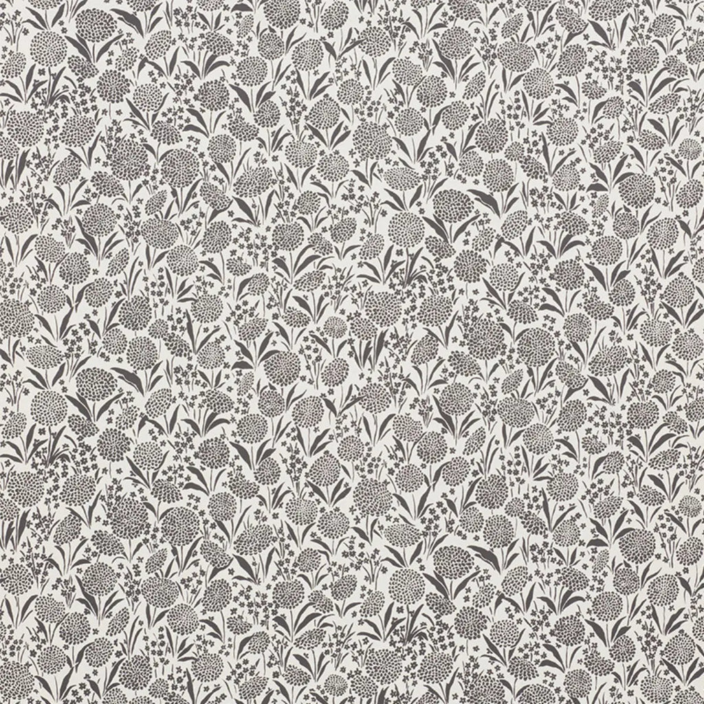 Chrysanthemum - Carbon Wallpapers