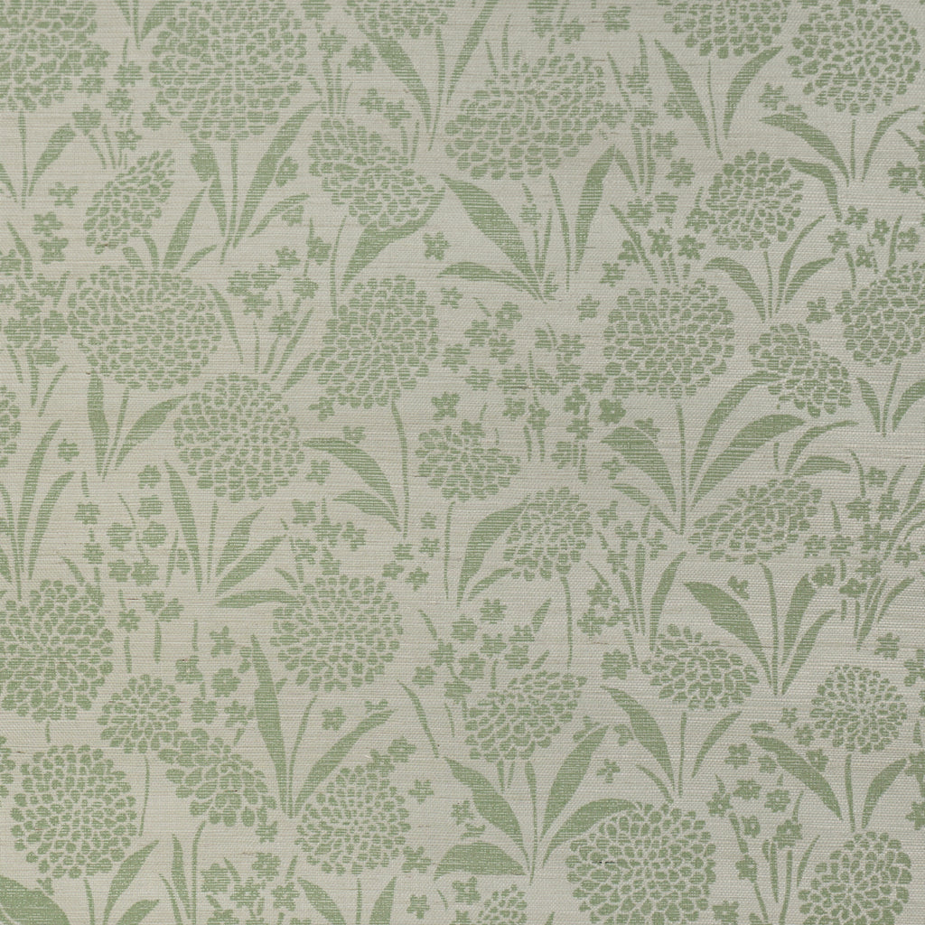 Chrysanthemum Sisal, Willow