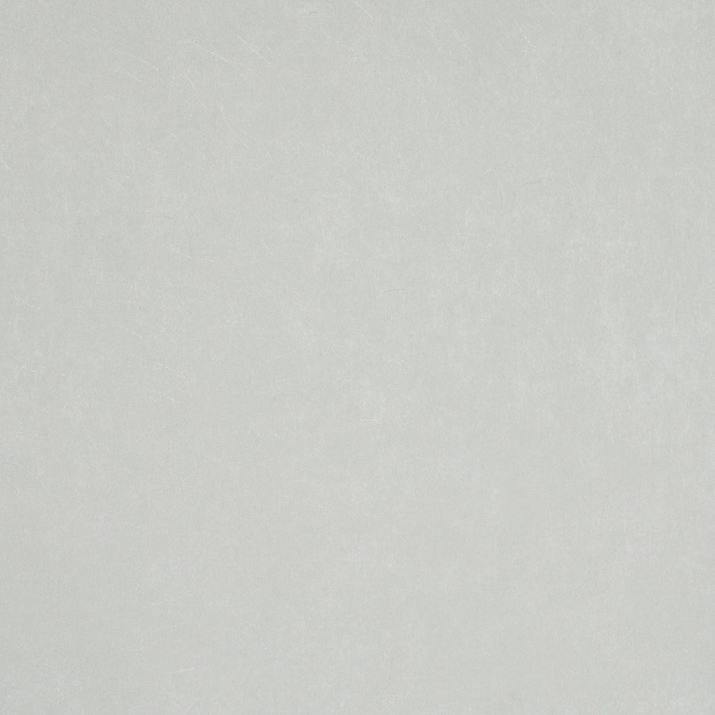 Villa Texture, Light Gray