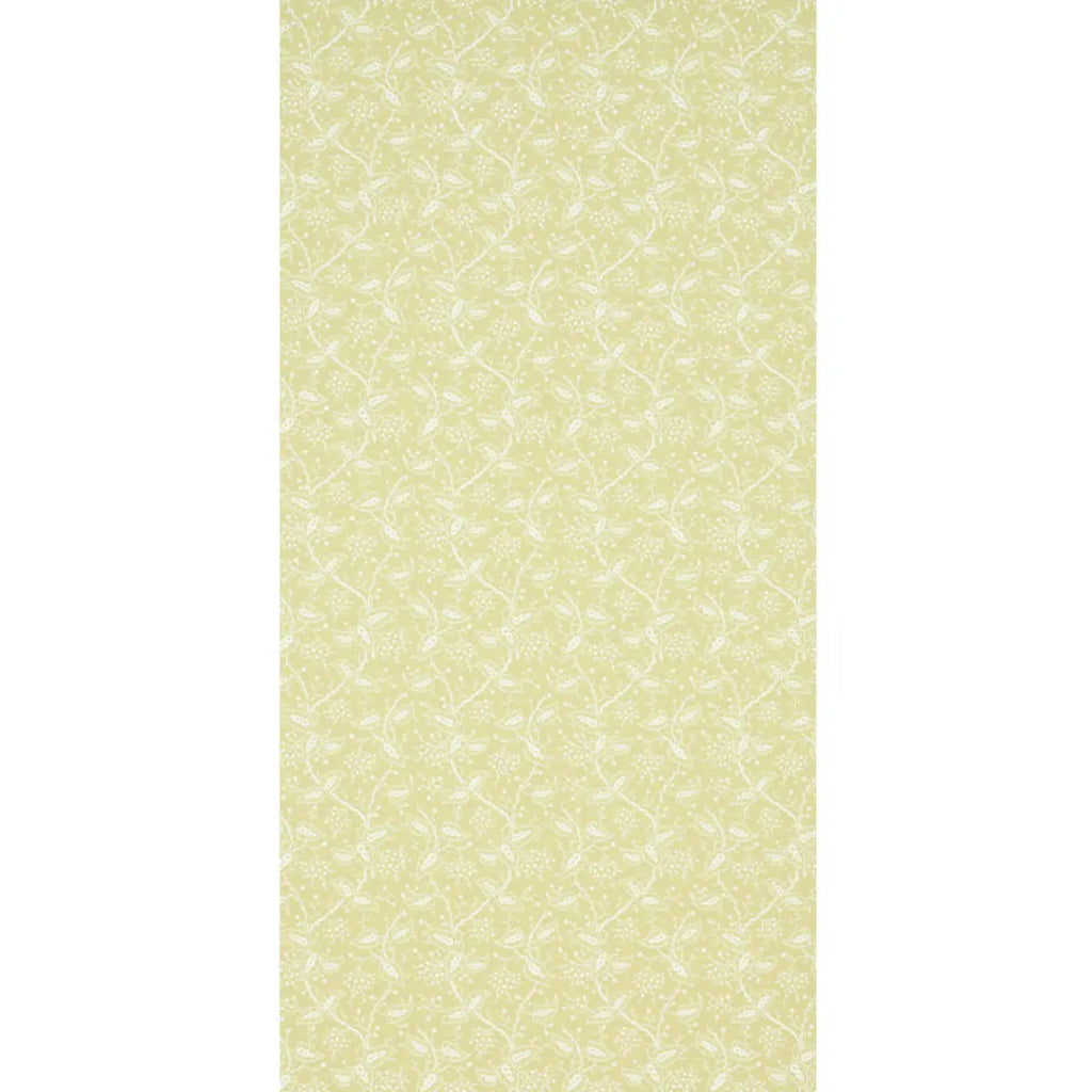 Darby - Buttercup Wallpapers